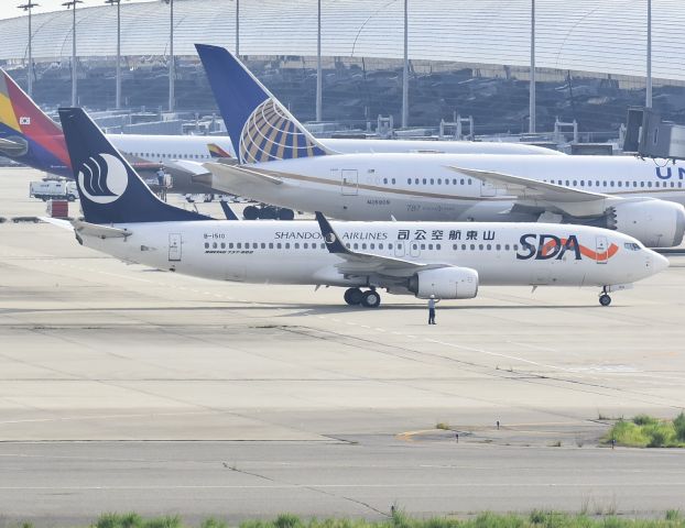 Boeing 737-800 (B-1510)