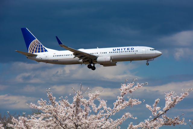 Boeing 737-800 (N12238)