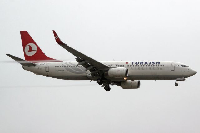 Boeing 737-800 (TC-JGP)