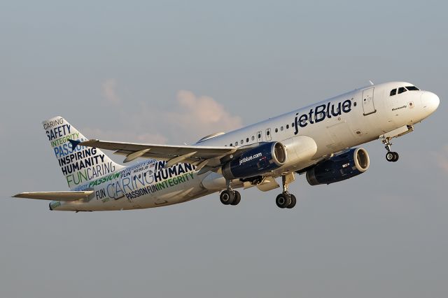 Airbus A320 (N598JB) - Inspiring Humanity Livery "Bluemanity"