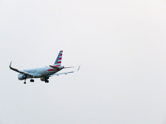Airbus A319 (N9008U)