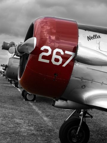 North American T-6 Texan (N6253C)