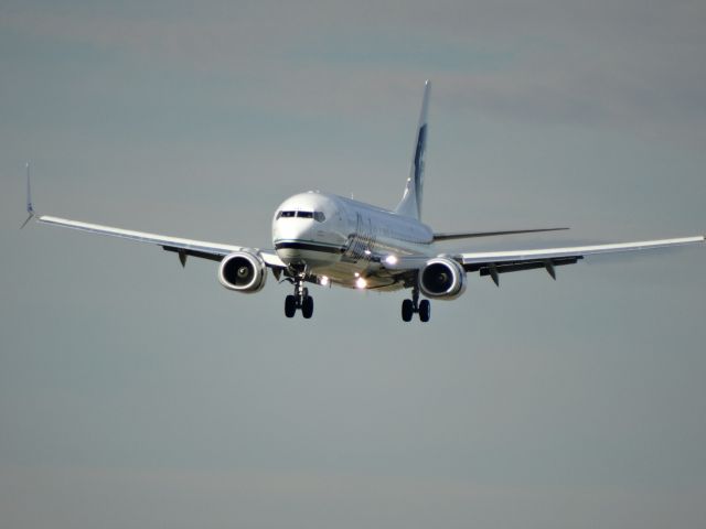 Boeing 737-900 (N431AS) - an Alaska airlines 737-900 diverted to buffalo ny 10/12/15 at 0830, this replacement arrived at 1700 and finally arrived in seattle at 2115 Pacific...talk about a long day for the pax