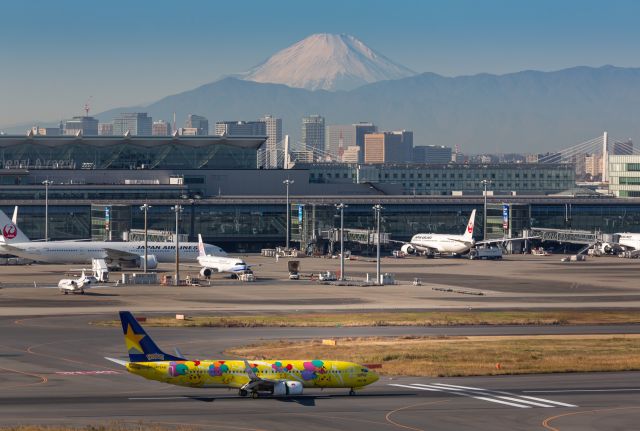 Boeing 737-800 (JA73AB)