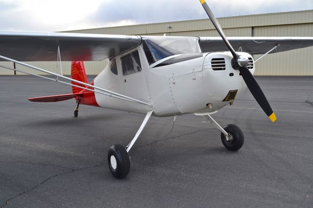 Cessna 120 (N2874N) - Just repainted.