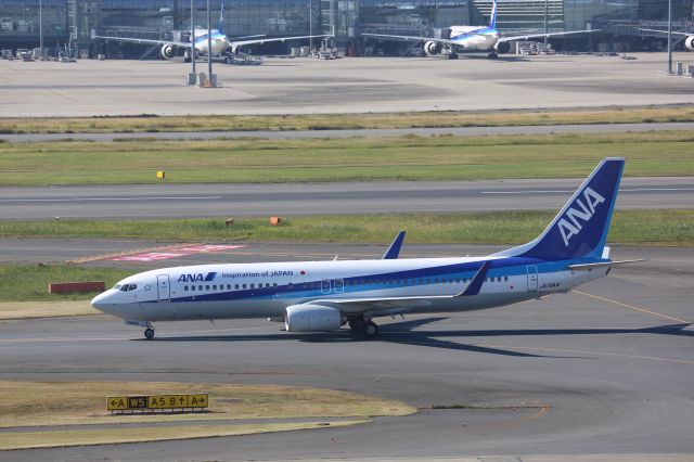 Boeing 737-800 (JA76AN)