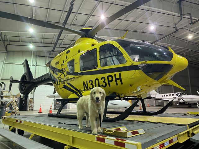 Eurocopter EC-635 (N303PH) - Teddie doing a final walk around before setting out to the days tasks. 