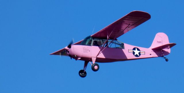 CHAMPION Tri-Traveler (N4008A) - Heading for another Pumpkin drop is this 1947 Aeronca 7BCM at the Annual Great Pumpkin Fly-In Weekend in the Autumn of 2024.