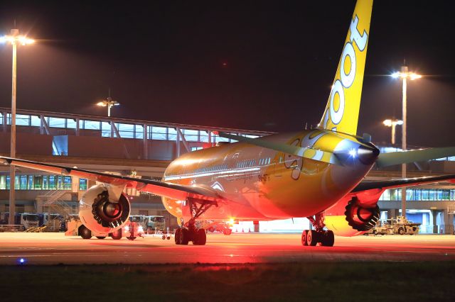 Boeing 787-8 (9V-OFH) - Scoot Boeing 787-8 Dreamliner from KIX to Hawaii.