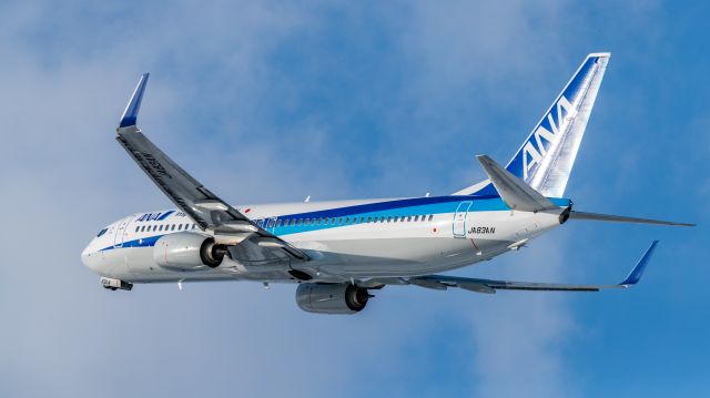 Boeing 737-800 (JA83AN) - 全日空 - All Nippon Airways [NH/ANA] / Boeing 737-881br /Feb.19.2017 Hakodate Airport [HKD/RJCH] JAPAN