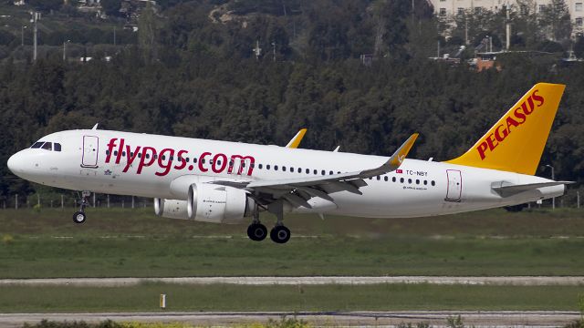Airbus A320neo (TC-NBY)