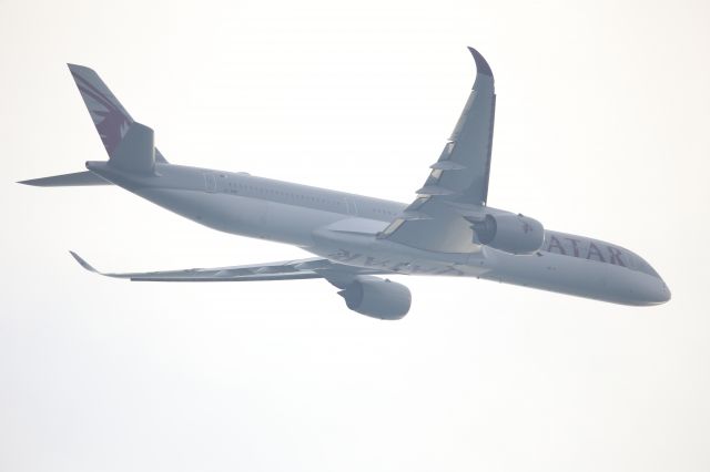 Airbus A350-1000 (A7-ANN)