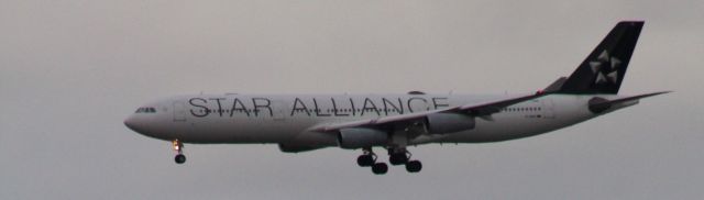 Airbus A340-300 (D-AIFE) - Landing from Frankfurt, Germany on a windy Sunday Afternoon