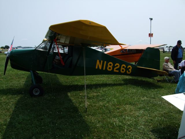 Experimental  (N18263)