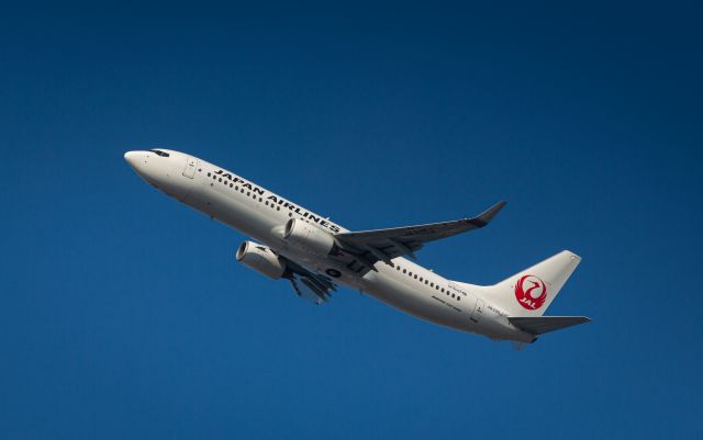 Boeing 737-800 (JA335J)