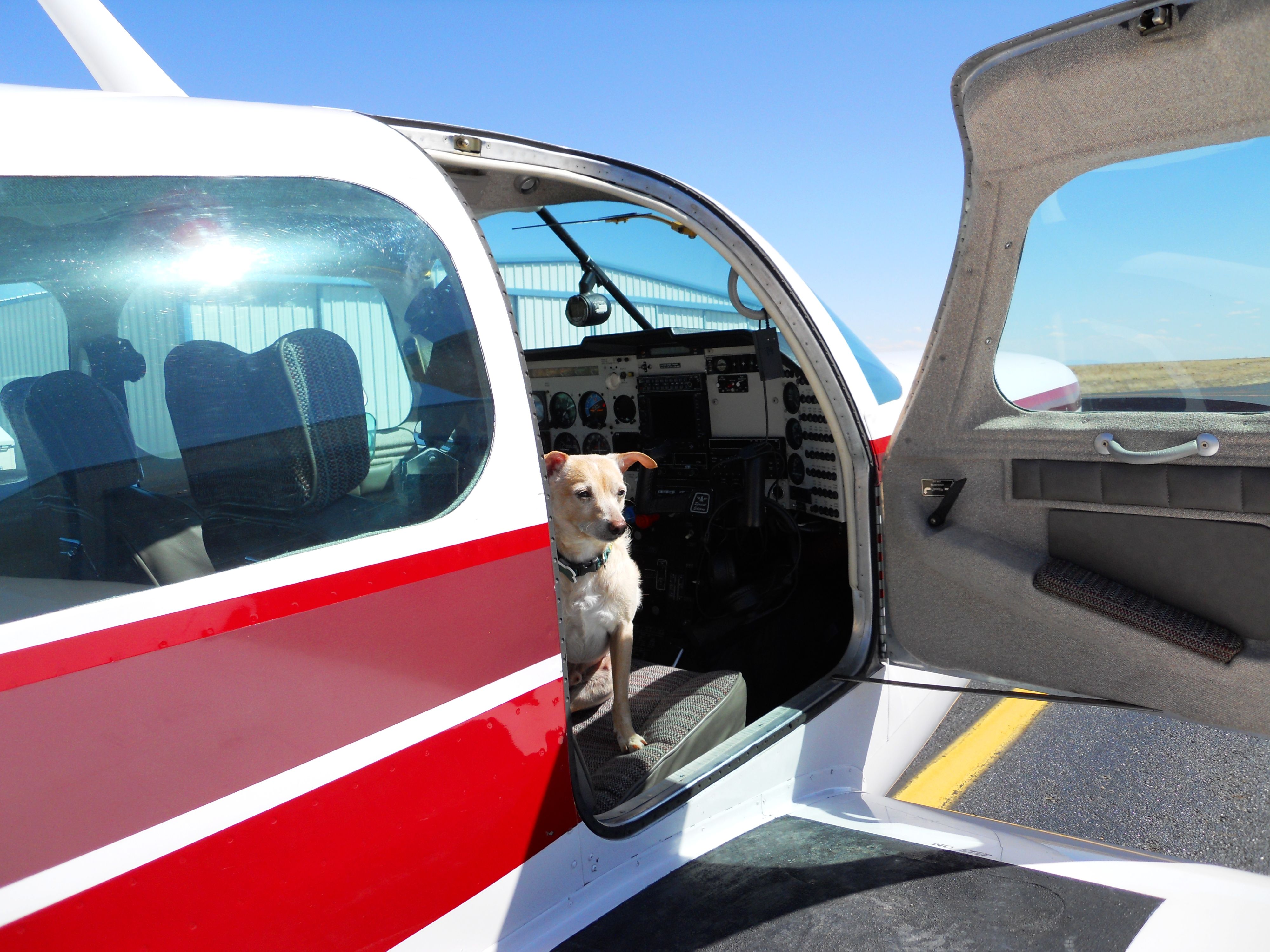 N252L — - Enzo contemplates his flight