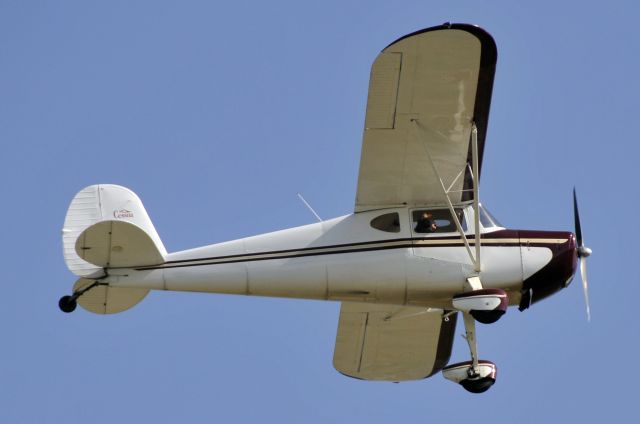 Cessna 120 (N77312) - Seen at KFDK on 3/31/2009.