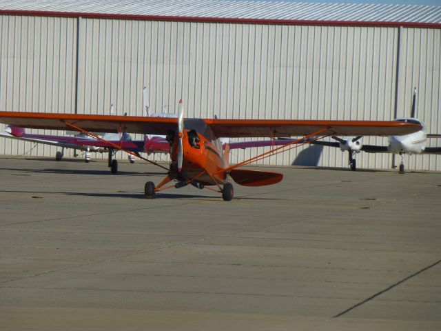 Piper L-14 Cub Cruiser (N32791)