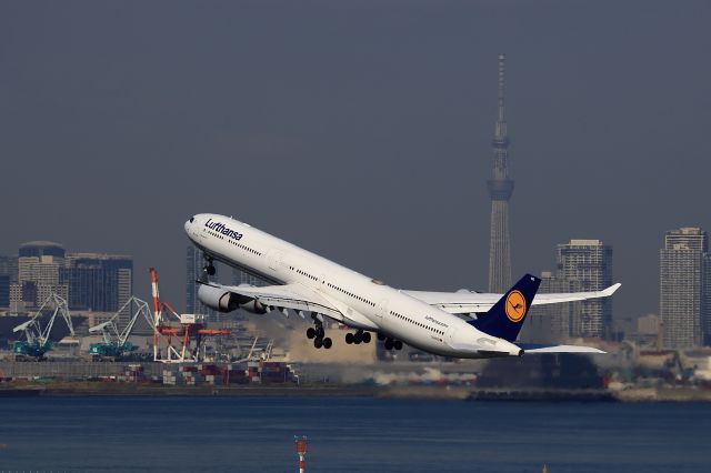 Airbus A340-600 (D-AIHS)