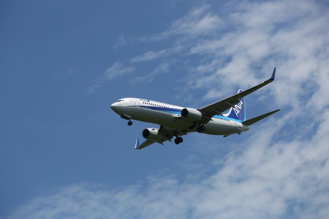 Boeing 737-800 (JA75AN) - 15 August 2016:ITM-HKD.