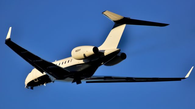 Bombardier Global 5000 (N83FF)