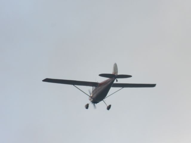 Cessna 170 (N3233A) - 08/09/21