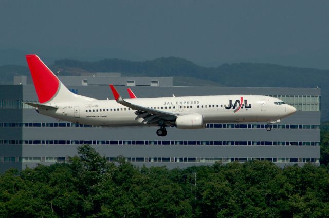 Boeing 737-800 (JA318J) - SHOT:2013-07-13