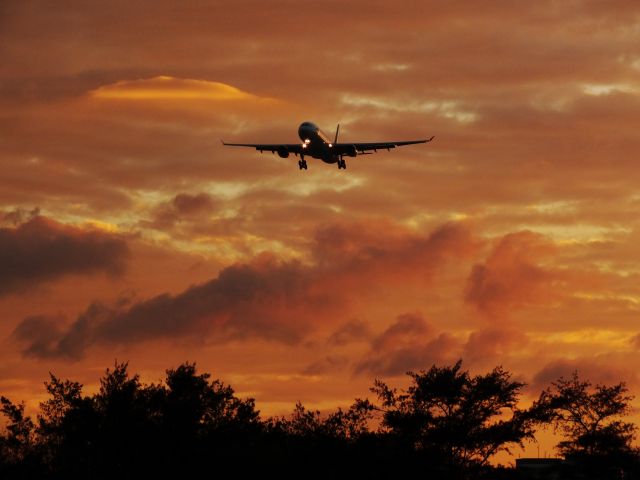 Airbus A330-300 (B-22102) - TransAsia Airways