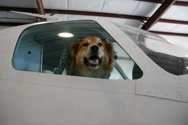 Cessna 401 (N4062Q) - Beau.  Happy to be in the right seat!