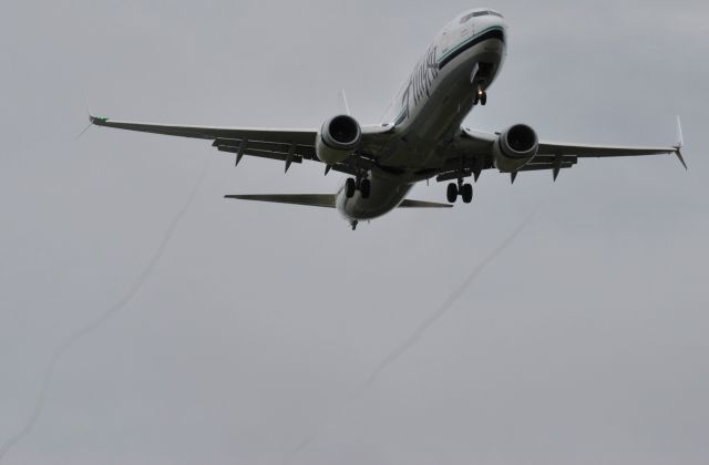 Boeing 737-900 (N409AS)