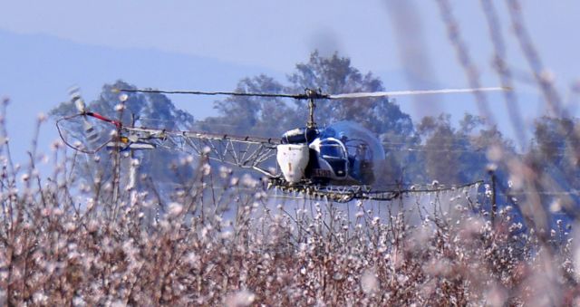 — — - Crop dusting in California's Great Central Valley