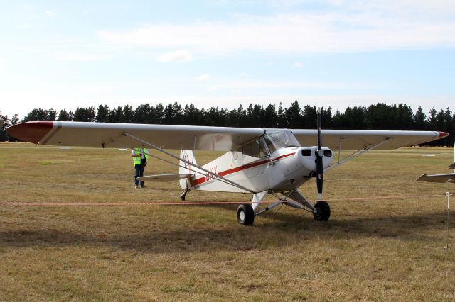 Piper L-21 Super Cub (ZK-BKX)
