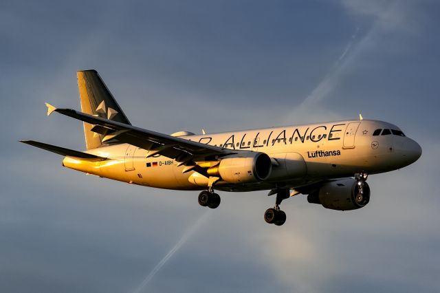 Airbus A319 (D-AIBH)
