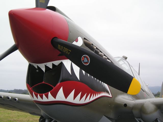 — — - P-40 at Watsonville CA airshow on Memorial weekend, 5-24-09