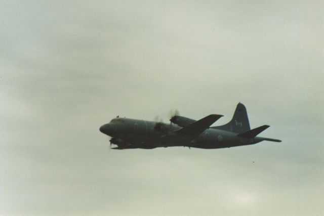 Lockheed P-3 Orion (14-0119) - CP-140