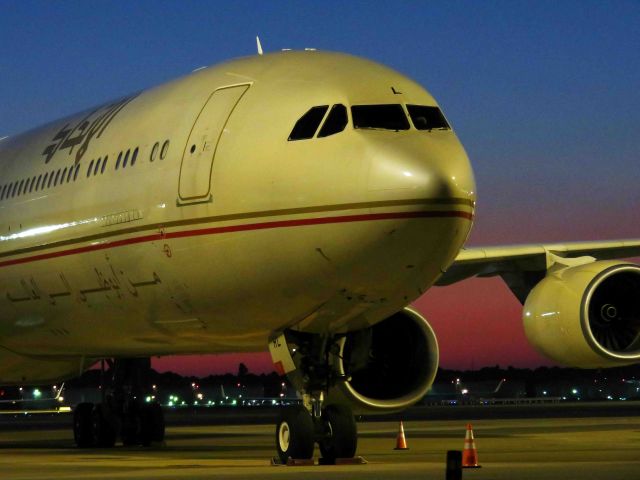 Airbus A340-600 (A6-EHL) - I take a picture on Nov 5, 2016.br /EY878-EY871