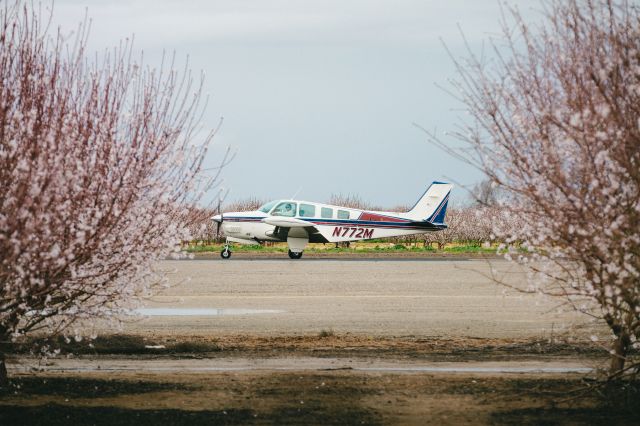 Beechcraft Bonanza (36) Turbo (N772M)