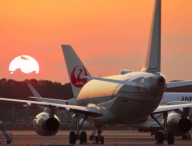 Airbus A319 (HB-JJJ) - I took this picture on Nov 08, 2019.