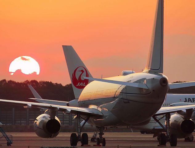 Airbus A319 (HB-JJJ) - I took this picture on Nov 08, 2019.