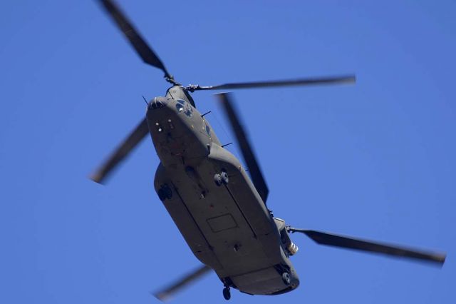 Boeing CH-47 Chinook — - Republic of Singapore Air Force Boeing CH-47SD Chinook participating in Forging Sabre Exercise.