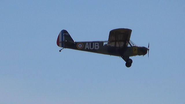 Piper L-21 Super Cub (F-BOER)