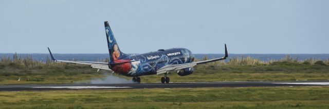 — — - Christmas is coming at Hato Airport....