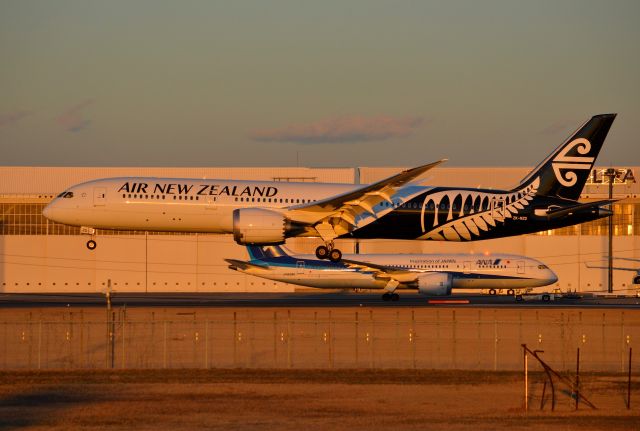 Boeing 787-9 Dreamliner (ZK-NZG) - ＮＲＴ３４Ｌ↓