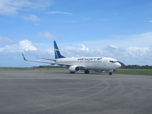 Boeing 737-800 (C-GOCD)