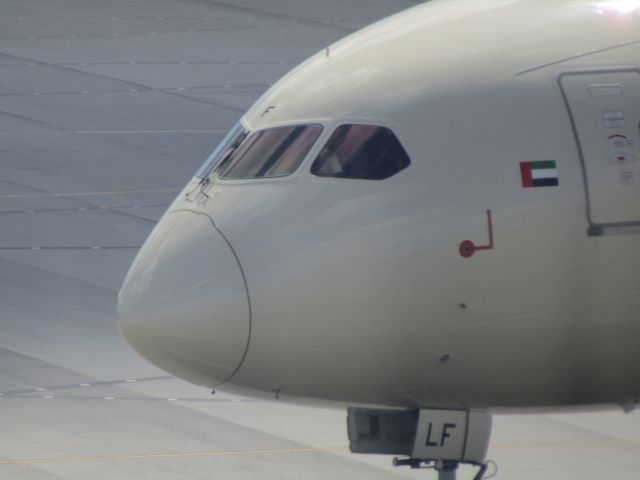 Boeing 787-9 Dreamliner (A6-BLF) - Cockpit view of Etihad Airways Boeing 787-9 taxiing into Perth Airport from a flight from Abu Dhabi. 