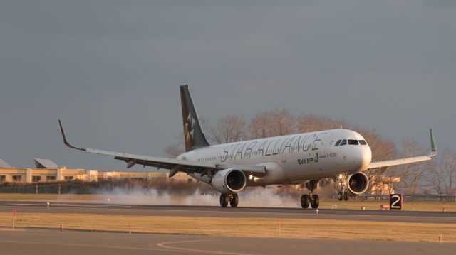 Airbus A321 (B-16206) - Eva Airways / Airbus A321-211br /Dec.13.2015 Hakodate Airport [HKD/RJCH] JAPAN