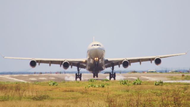 Airbus A340-300 (F-GLZJ)