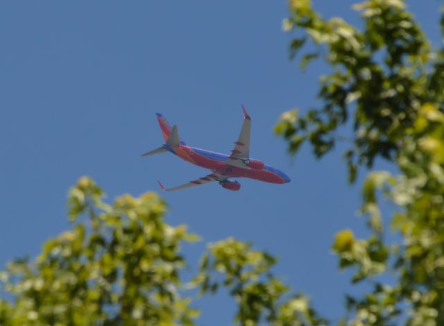 Boeing 737-700 (N7721E) - Caught this guy on approach right before he passed by the tree