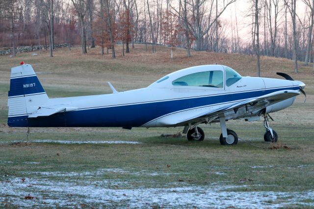 North American Navion (N91197) - 10 January 2021 - Parked with what appears to be a prop strike.