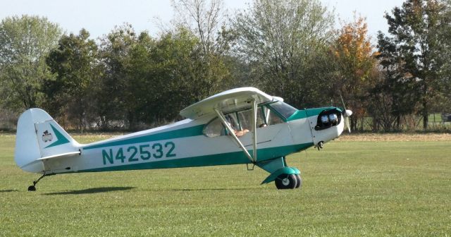 Piper NE Cub (N42532) - Taxiing for a Pumpkin drop is this 1945 Taylorcraft-Piper J3C-65 Cub in the Autumn of 2022.  A very small passenger in the front will be doing the honors.